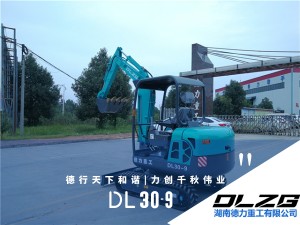 DL 30-9小型挖掘機(jī)